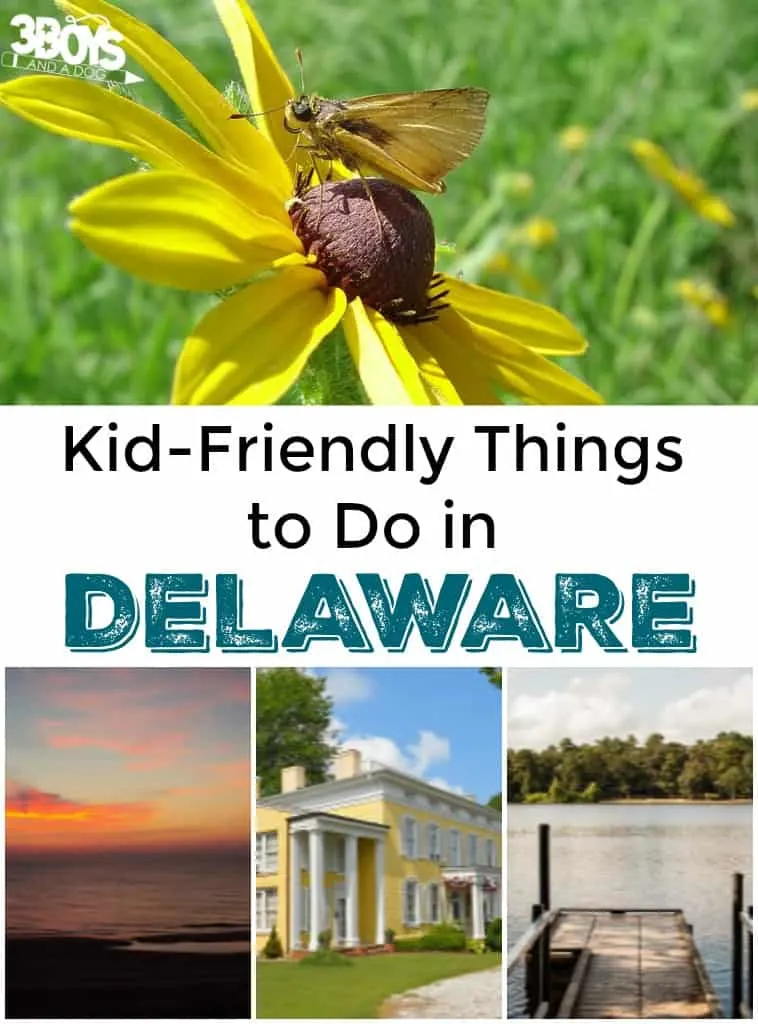 Kid-Friendly Things to Do in Delaware