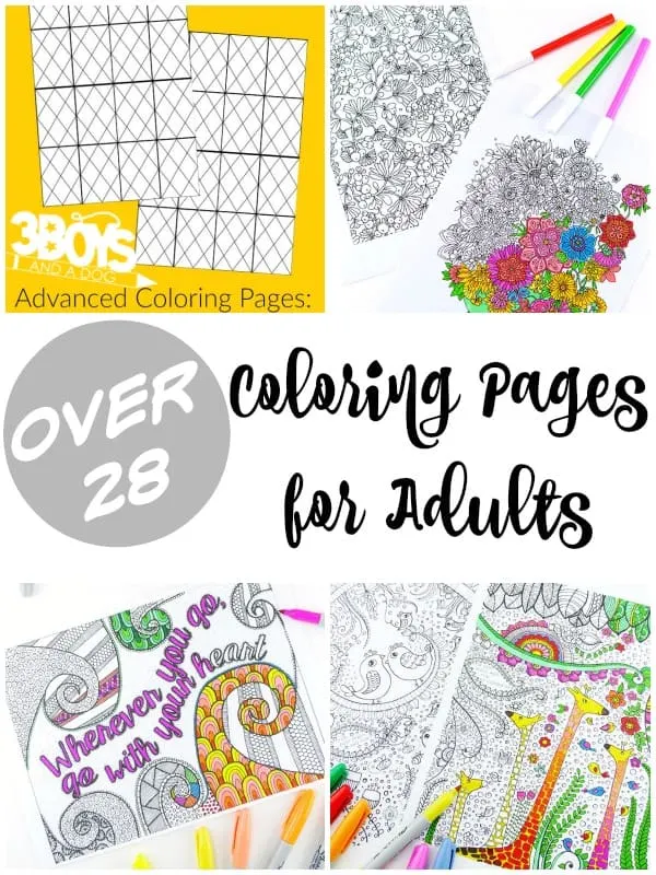 Over 28 Coloring Pages for Adults