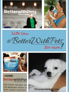 3 Benefits of Pet Ownership from the Purina Better with Pets Summit