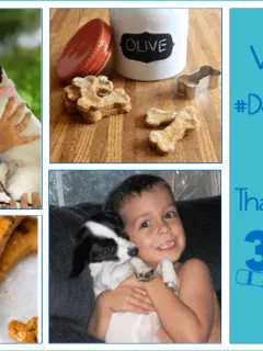 Thank Your Dog with These 7 DIY Dog Treats!