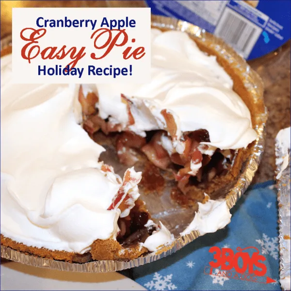 Cranberry Apple Pie Holiday Entertaining Recipe