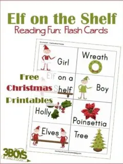 Elf on the Shelf Reading Fun: Flashcards