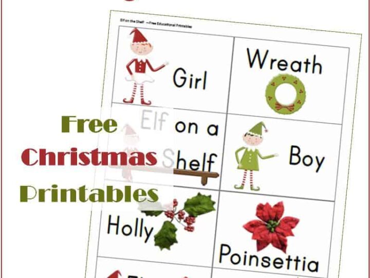 Elf on the Shelf Reading Fun: Flashcards