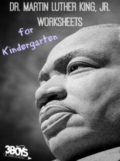 Dr Martin Luther King Jr Worksheets for Kindergarten