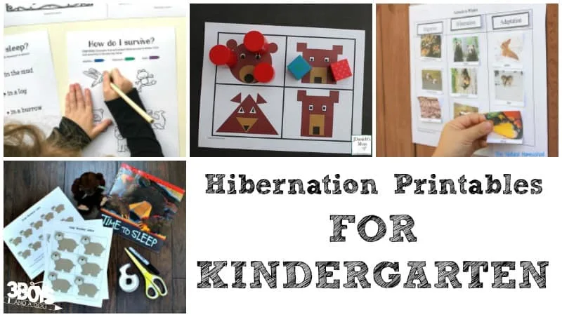 Hibernation Printables for Kindergarten