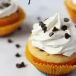Chocolate Chip Cupcakes with Bright Chocolate Chip Frosting