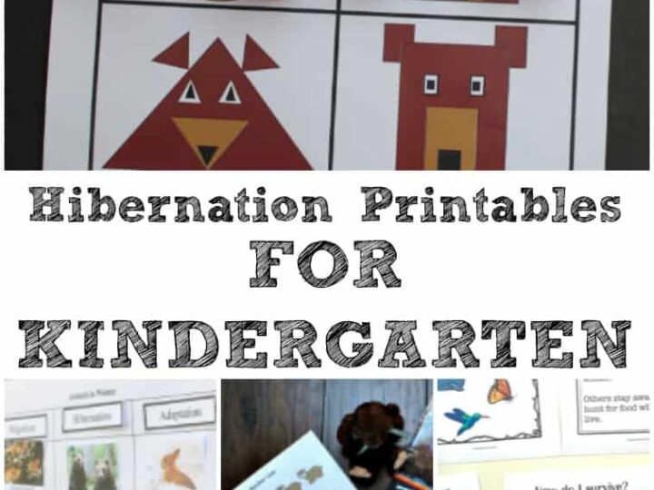 Kindergarten Hibernation Printables