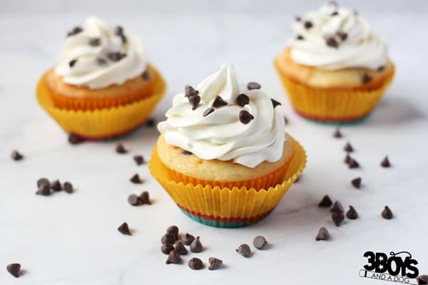 Chocolate Chip Cupcake Recipe - the best of both worlds: chocolate chip cookies meet perfect vanilla cupcakes