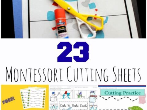 Montessori Cutting Sheets