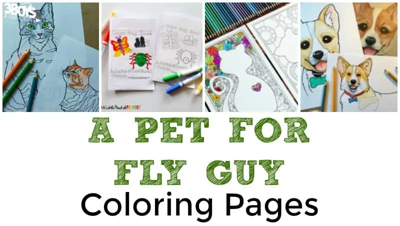 Pet for Fly Guy Coloring Sheets
