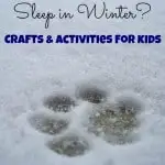 Where Do Animals Sleep in the Winter Crafts and Activities for Kids