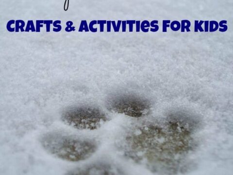Where Do Animals Sleep in the Winter Crafts and Activities for Kids