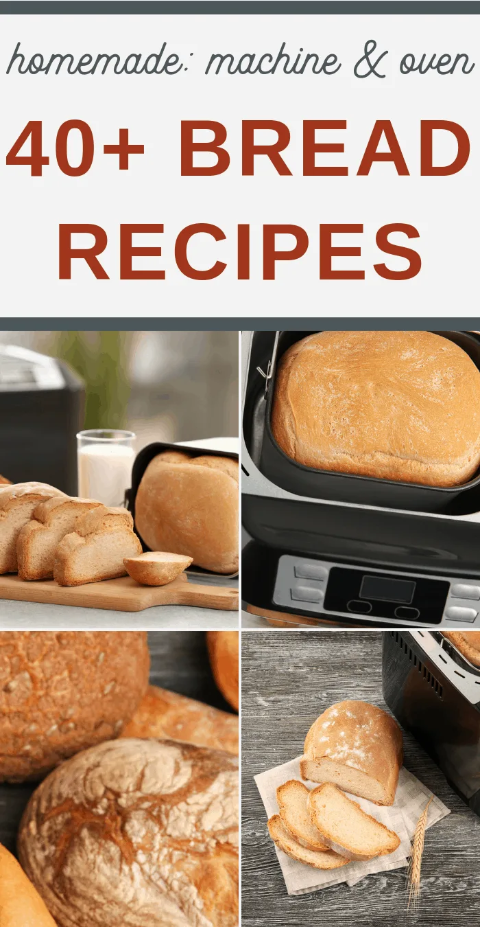 bread recipes for the machine and oven