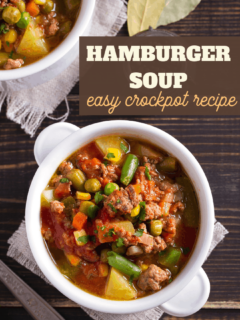 ground beef hamburger meat soup made in the crockpot