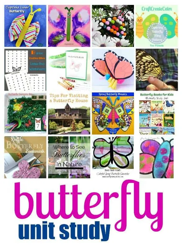 Themed Butterflies Unit Study