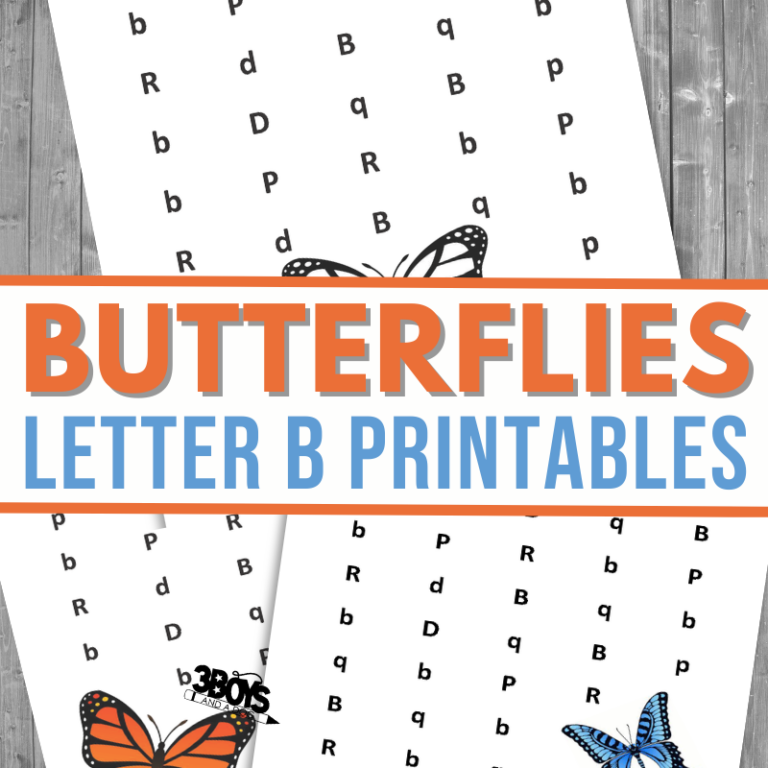 Find the Letter: B is for Butterflies