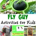 Fly Guy Activities for Kids