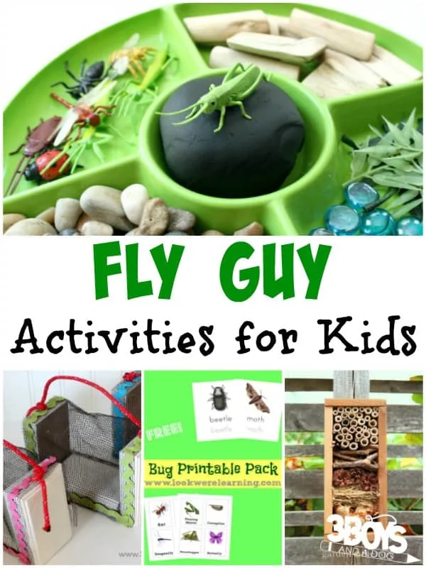 Fly Guy Activities for Kids