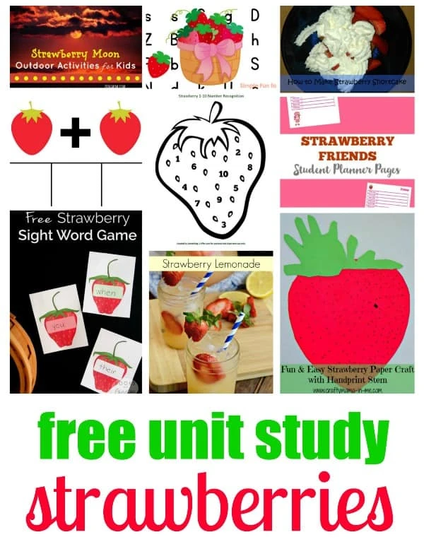 Strawberry Unit Study