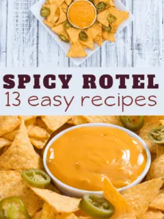 over a dozen spicy rotel recipes