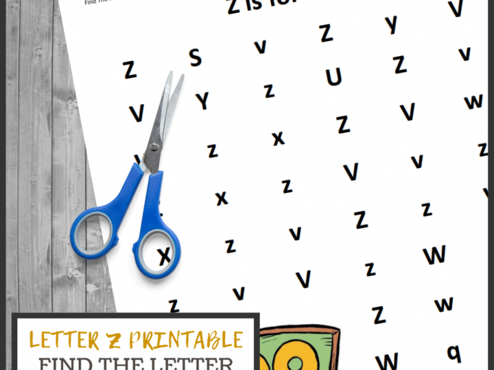 Image for Find the Letter: Z is for Zoo