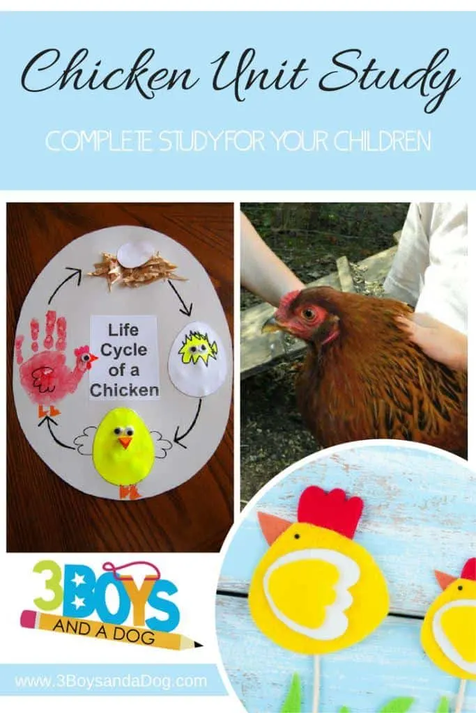 Chickens Complete Unit Study