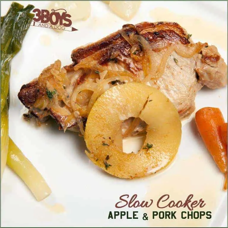 slow cooker apple and pork chops
