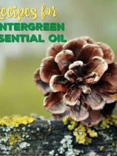 These Versatile Recipes Using Wintergreen Essential Oil offer three simple and invigorating ways to use wintergreen oil to brighten your day and treat the everyday aches and pains of life.