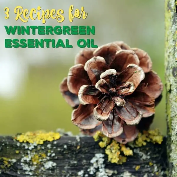 These Versatile Recipes Using Wintergreen Essential Oil offer three simple and invigorating ways to use wintergreen oil to brighten your day and treat the everyday aches and pains of life.