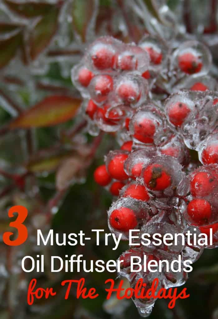 Essential Oil Diffuser Blends for the Holidays