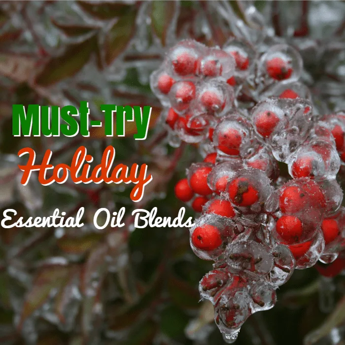essential-oil-diffuser-blends-for-the-holidays