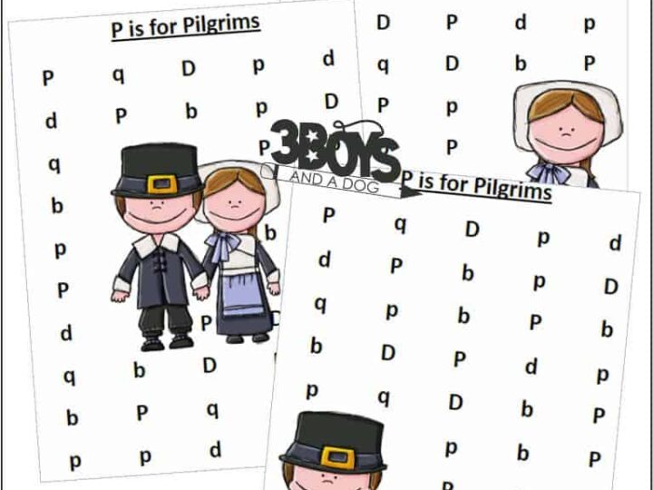 Image for Find the Letter P is for Pilgrims