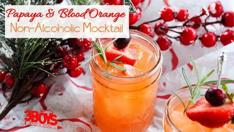 Blood Orange Mocktail Recipe with Rosemary