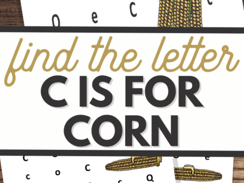 Illustration showcases two corn images amid scattered letters C and O. Over a wooden background, the text declares Find the Letter C is for Corn. The corn stands out with black outlines, vibrant green husks, and sunny yellow kernels.