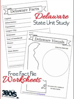 Delaware State Fact File Worksheets - part of a 14 page Unit Study Workbook