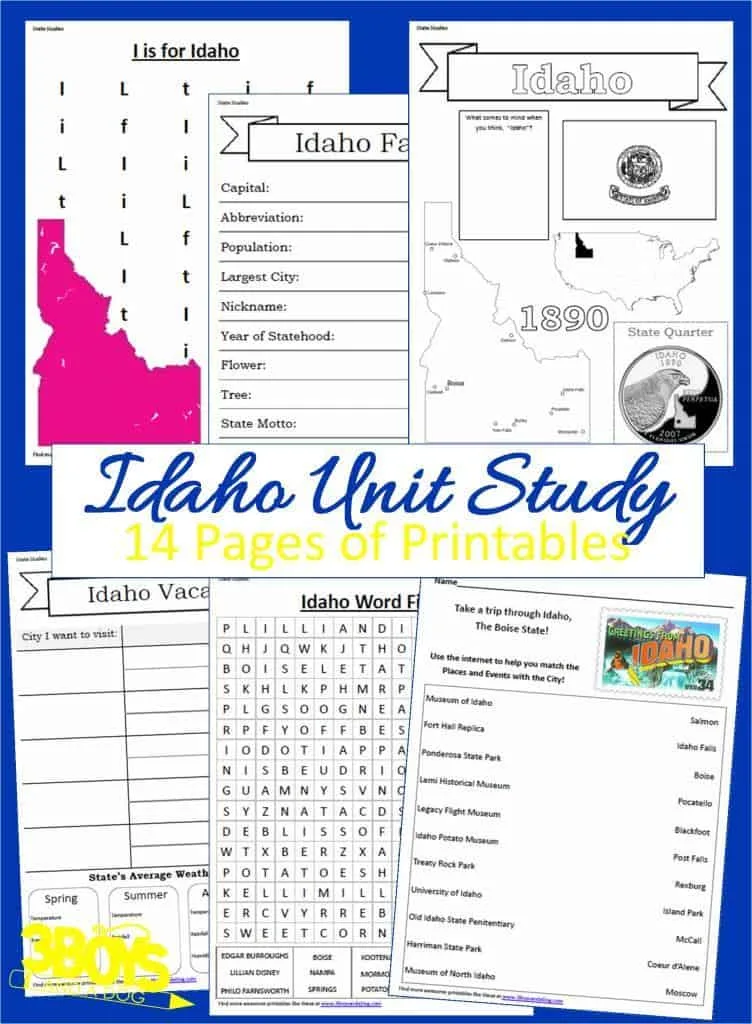 14 page downloadable workbook to help you teach your child all about the State of Idaho.