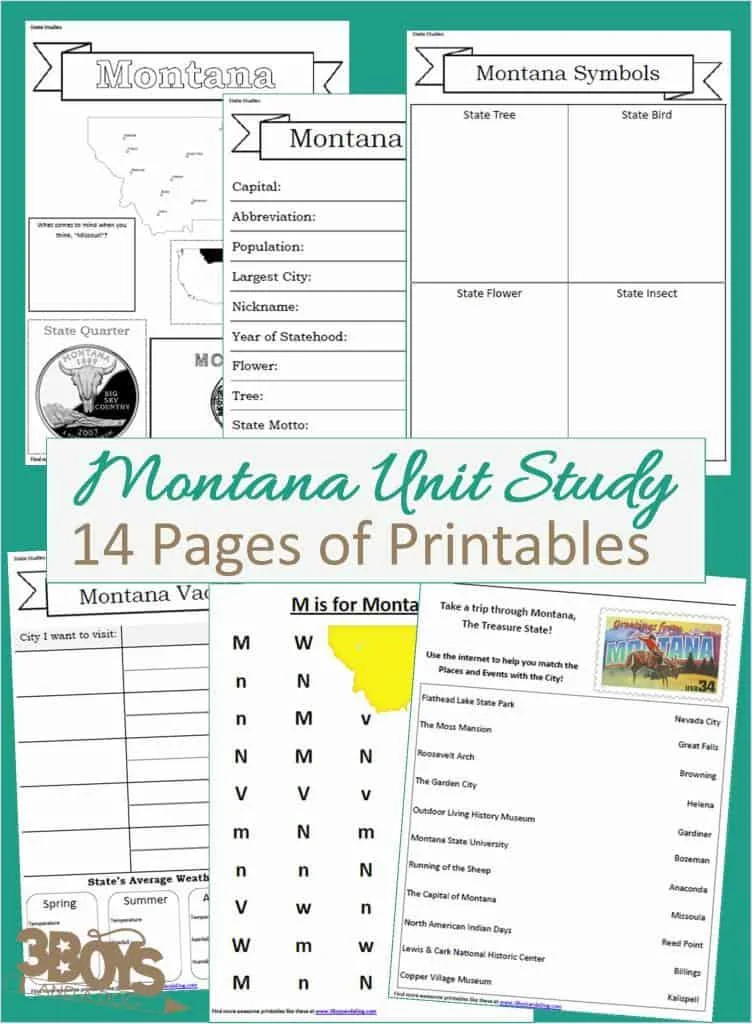 Montana State Unit Study