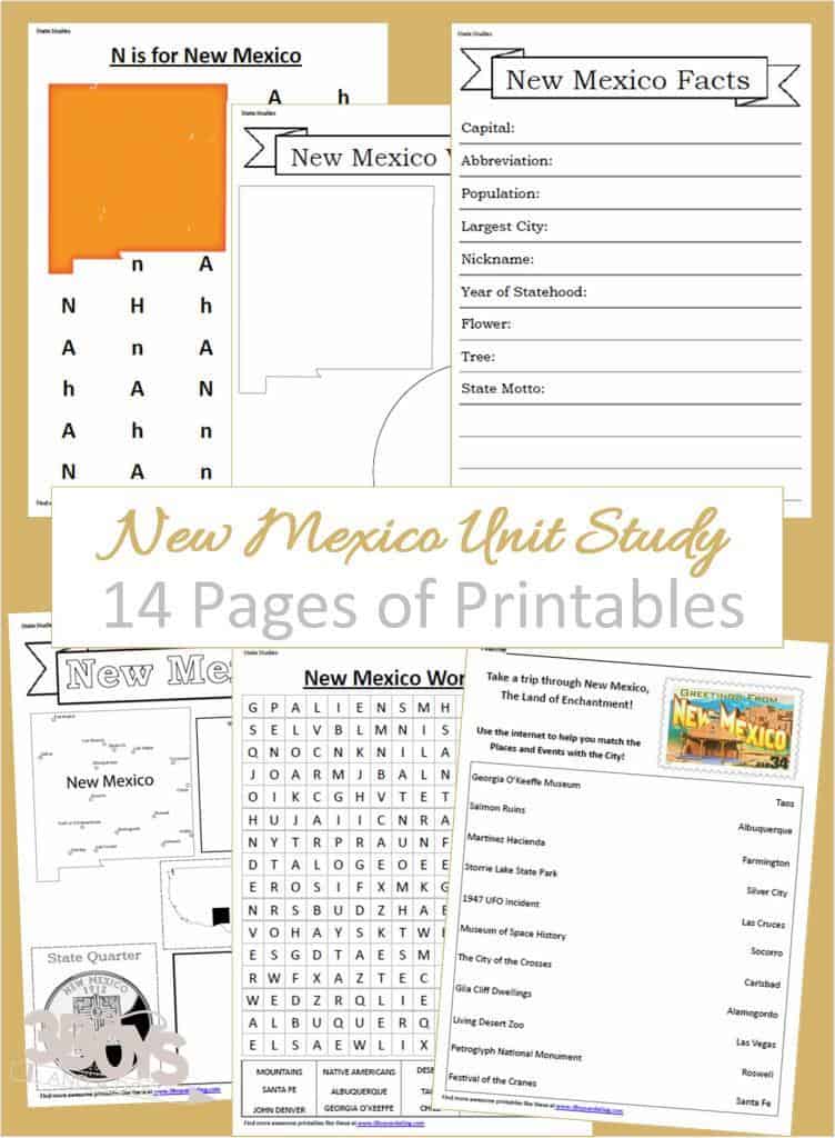 New Mexico State Fact File Worksheets