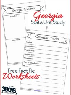 Georgia Free Fact File Worksheets