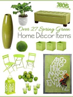 Pantone's Color of the Year for 2017, Greenery, is a beautiful way to bring the outdoors in! Here are 27 accent piece ideas for livening up your home decor.