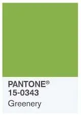 PANTONE 15-0343 Greenery - Home Decor Accent Pieces to keep (or get) your home trendy this year!