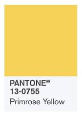 Pantone Primrose Yellow
