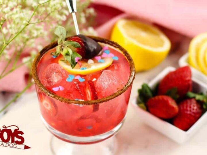 Pretty in Pink Non Alcoholic Beverage for Children