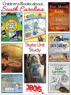 These books contain so much information about the long and varied History of this great State as well as stories about people from South Carolina.