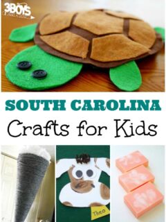 South Carolina Crafts for Kids
