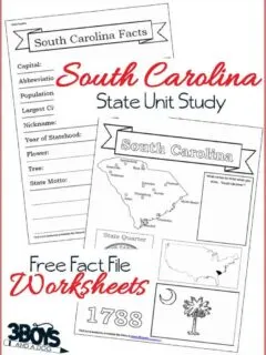South Carolina Fact File Worksheets