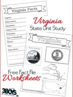 Virginia Fact File Worksheets