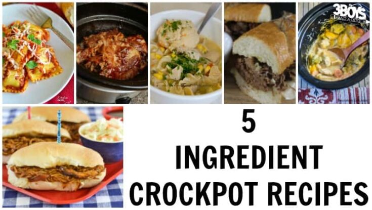 5 Ingredient Recipes for Crock Pot - 3 Boys and a Dog