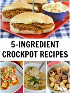 Five Ingredient Recipes for the Crockpot