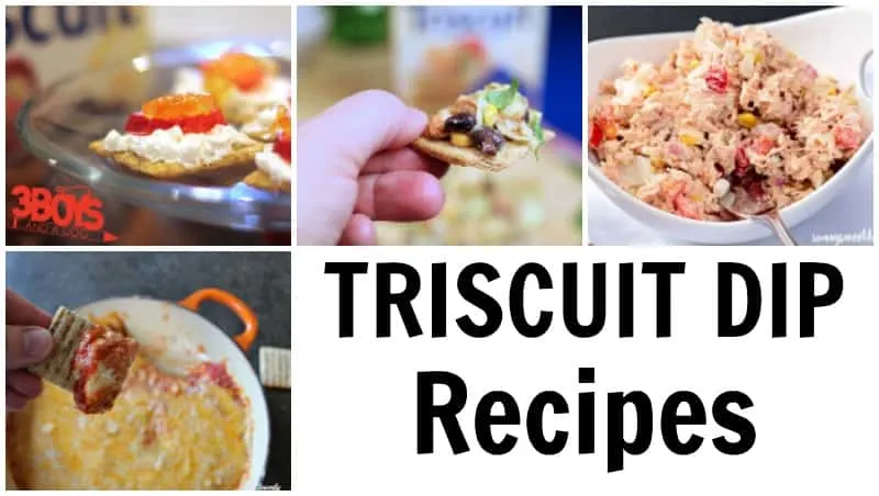 Triscuit Dip Recipes to Try